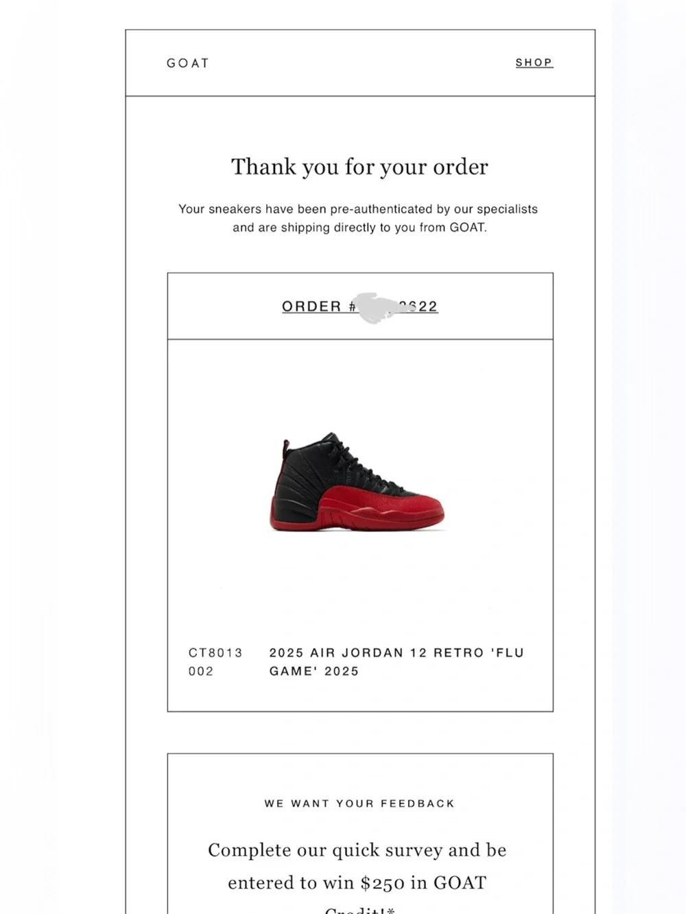 FLU GAME JORDAN 12